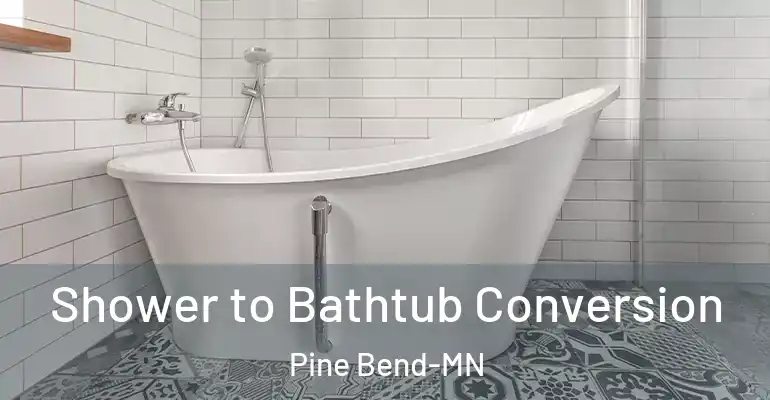 inner Bathroom imggen Shower to Bathtub Conversion Pine Bend-MN