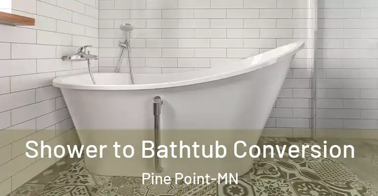 inner Bathroom imggen Shower to Bathtub Conversion Pine Point-MN