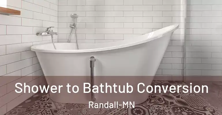 inner Bathroom imggen Shower to Bathtub Conversion Randall-MN