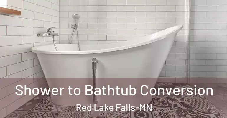 inner Bathroom imggen Shower to Bathtub Conversion Red Lake Falls-MN