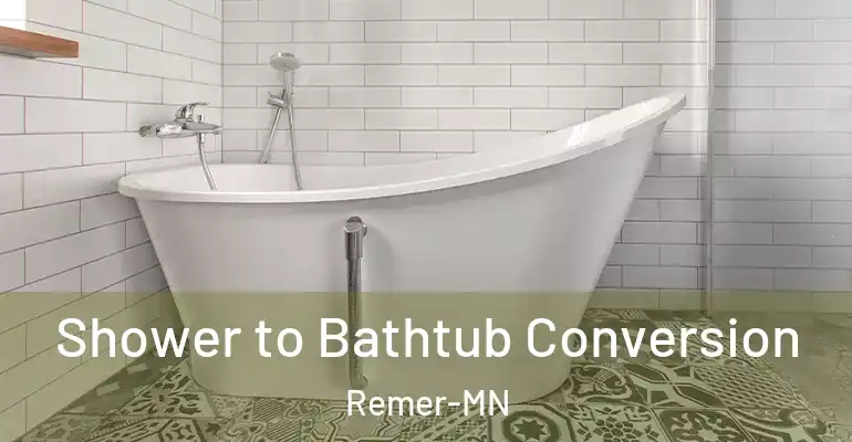 inner Bathroom imggen Shower to Bathtub Conversion Remer-MN