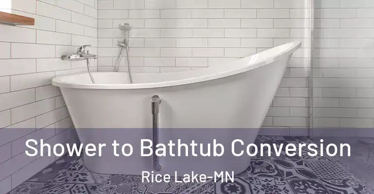 inner Bathroom imggen Shower to Bathtub Conversion Rice Lake-MN