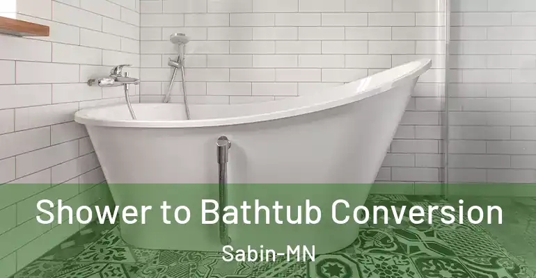 inner Bathroom imggen Shower to Bathtub Conversion Sabin-MN