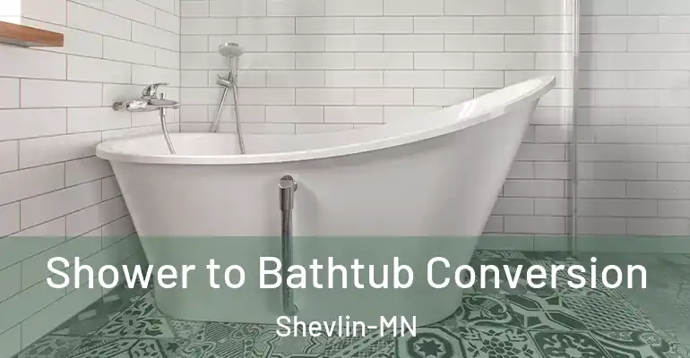inner Bathroom imggen Shower to Bathtub Conversion Shevlin-MN