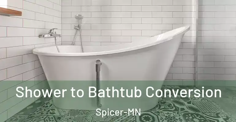inner Bathroom imggen Shower to Bathtub Conversion Spicer-MN