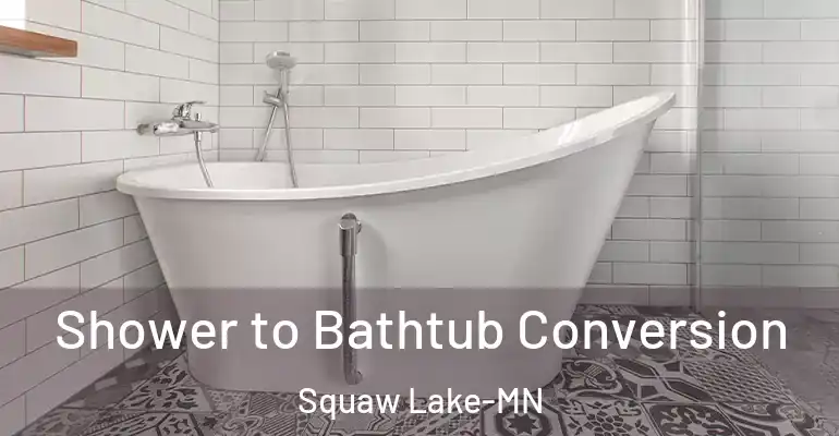 inner Bathroom imggen Shower to Bathtub Conversion Squaw Lake-MN