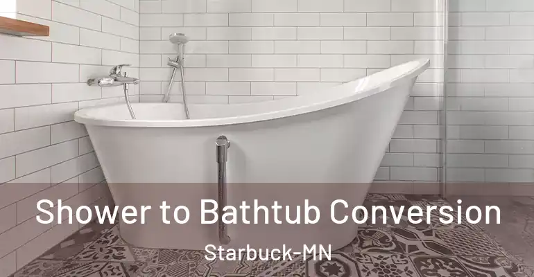 inner Bathroom imggen Shower to Bathtub Conversion Starbuck-MN