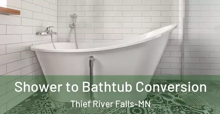 inner Bathroom imggen Shower to Bathtub Conversion Thief River Falls-MN