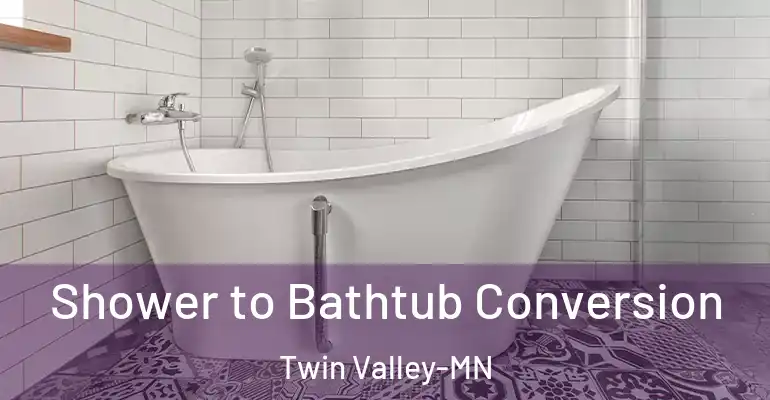 inner Bathroom imggen Shower to Bathtub Conversion Twin Valley-MN