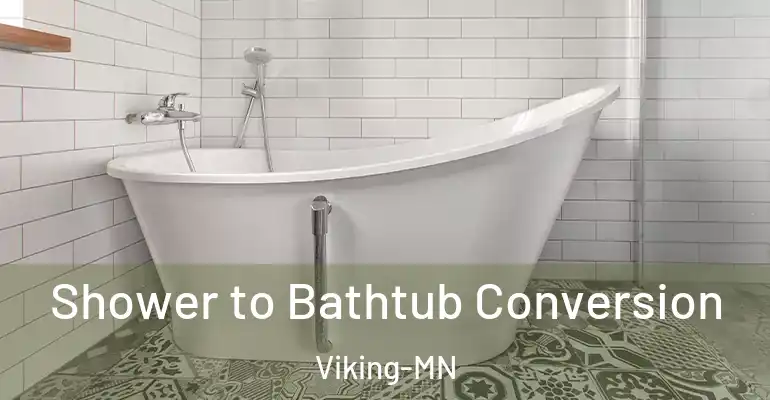 inner Bathroom imggen Shower to Bathtub Conversion Viking-MN