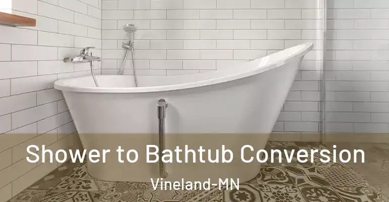 inner Bathroom imggen Shower to Bathtub Conversion Vineland-MN