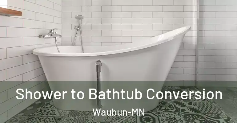 inner Bathroom imggen Shower to Bathtub Conversion Waubun-MN