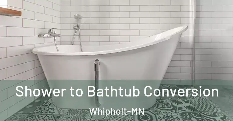 inner Bathroom imggen Shower to Bathtub Conversion Whipholt-MN