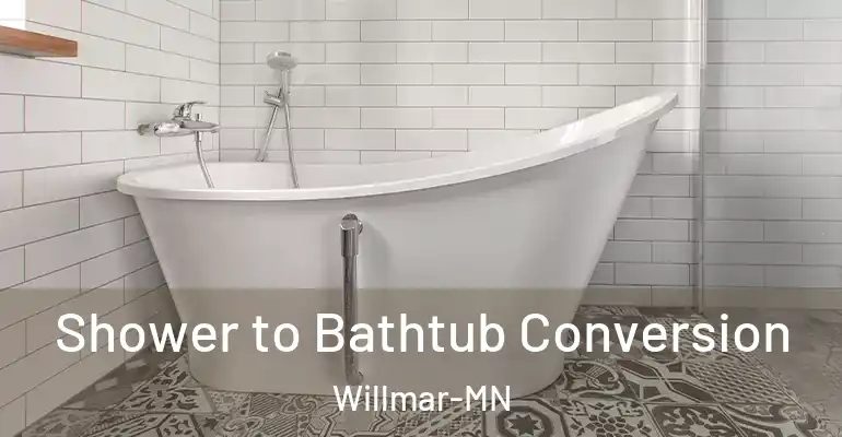 inner Bathroom imggen Shower to Bathtub Conversion Willmar-MN