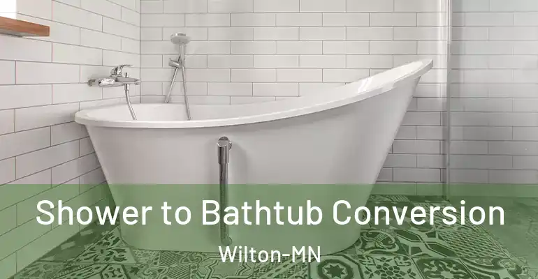 inner Bathroom imggen Shower to Bathtub Conversion Wilton-MN