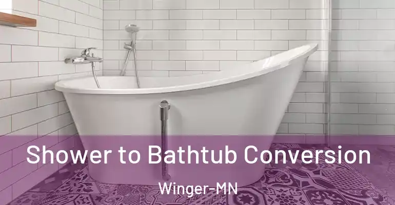 inner Bathroom imggen Shower to Bathtub Conversion Winger-MN