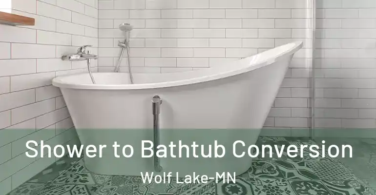 inner Bathroom imggen Shower to Bathtub Conversion Wolf Lake-MN