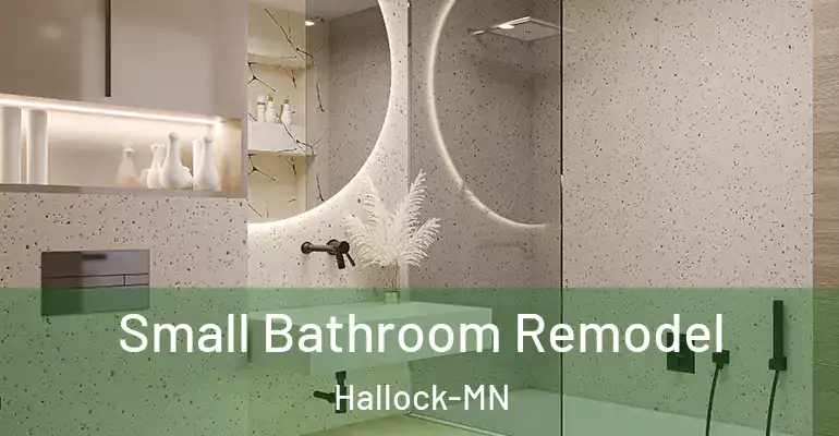 inner Bathroom imggen Small Bathroom Remodel Hallock-MN