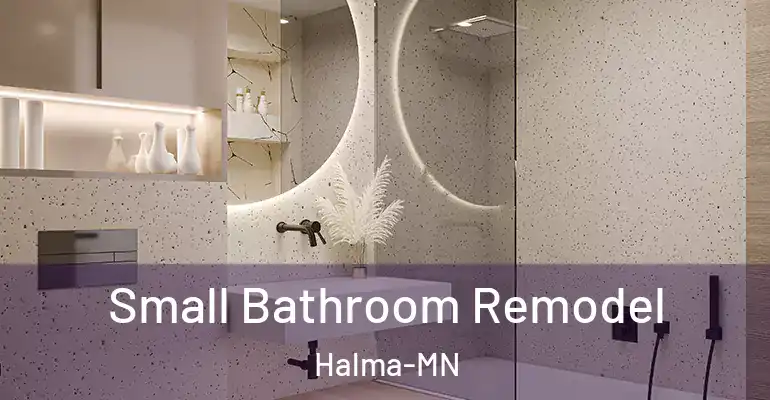 inner Bathroom imggen Small Bathroom Remodel Halma-MN