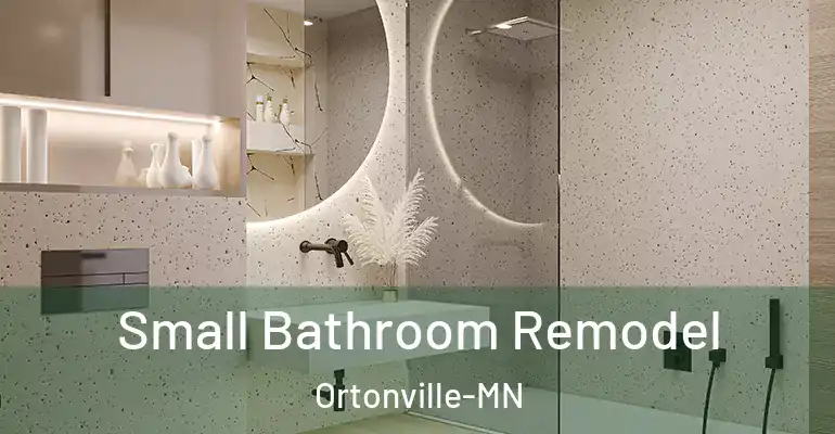 inner Bathroom imggen Small Bathroom Remodel Ortonville-MN