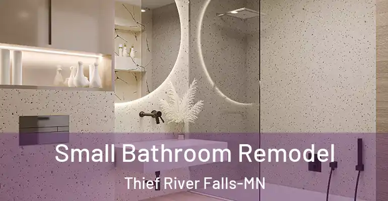 inner Bathroom imggen Small Bathroom Remodel Thief River Falls-MN