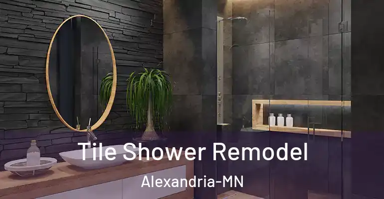 inner Bathroom imggen Tile Shower Remodel Alexandria-MN