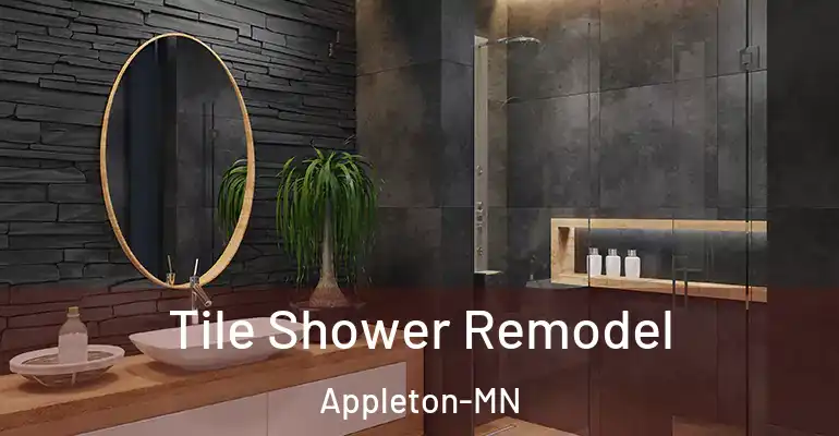 inner Bathroom imggen Tile Shower Remodel Appleton-MN