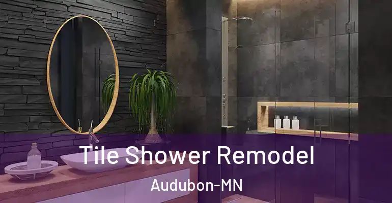 inner Bathroom imggen Tile Shower Remodel Audubon-MN