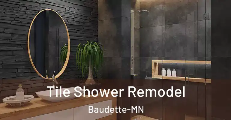 inner Bathroom imggen Tile Shower Remodel Baudette-MN