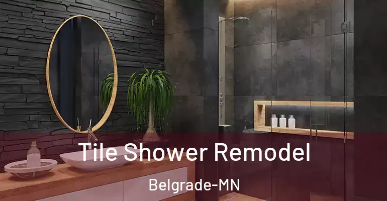 inner Bathroom imggen Tile Shower Remodel Belgrade-MN