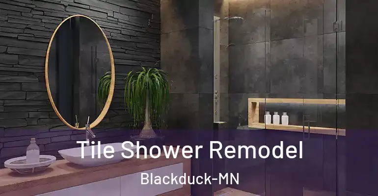 inner Bathroom imggen Tile Shower Remodel Blackduck-MN