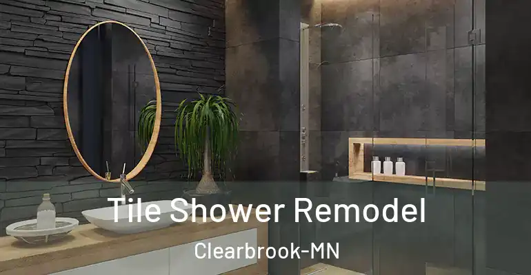 inner Bathroom imggen Tile Shower Remodel Clearbrook-MN