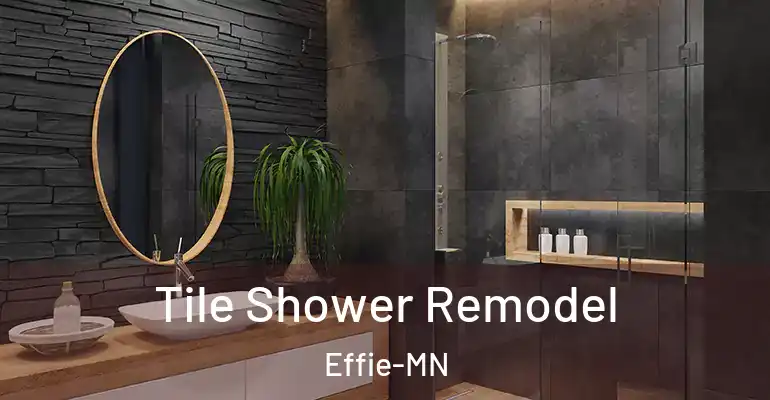 inner Bathroom imggen Tile Shower Remodel Effie-MN