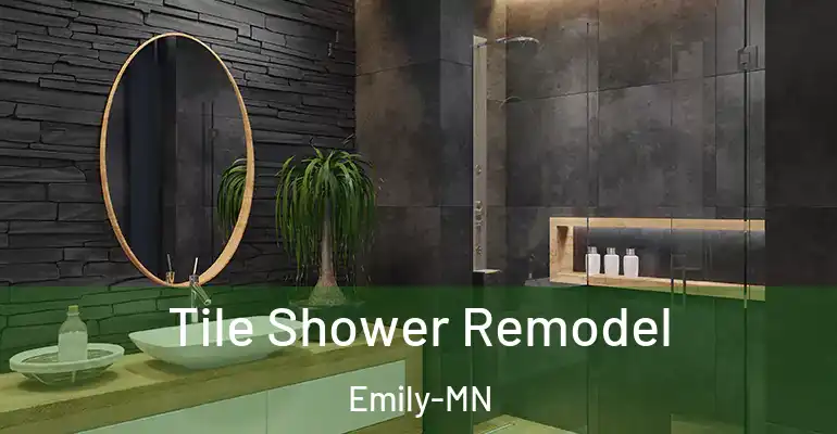 inner Bathroom imggen Tile Shower Remodel Emily-MN