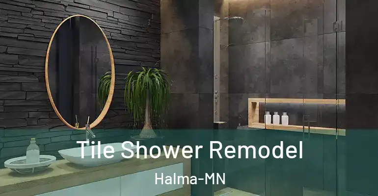 inner Bathroom imggen Tile Shower Remodel Halma-MN