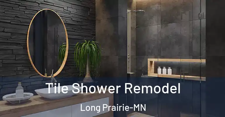 inner Bathroom imggen Tile Shower Remodel Long Prairie-MN