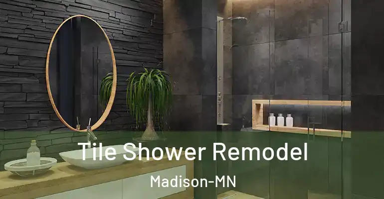 inner Bathroom imggen Tile Shower Remodel Madison-MN