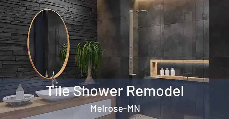 inner Bathroom imggen Tile Shower Remodel Melrose-MN