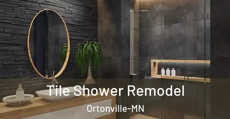 inner Bathroom imggen Tile Shower Remodel Ortonville-MN