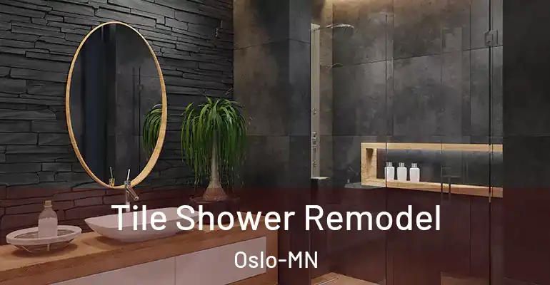 inner Bathroom imggen Tile Shower Remodel Oslo-MN