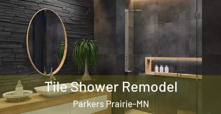 inner Bathroom imggen Tile Shower Remodel Parkers Prairie-MN