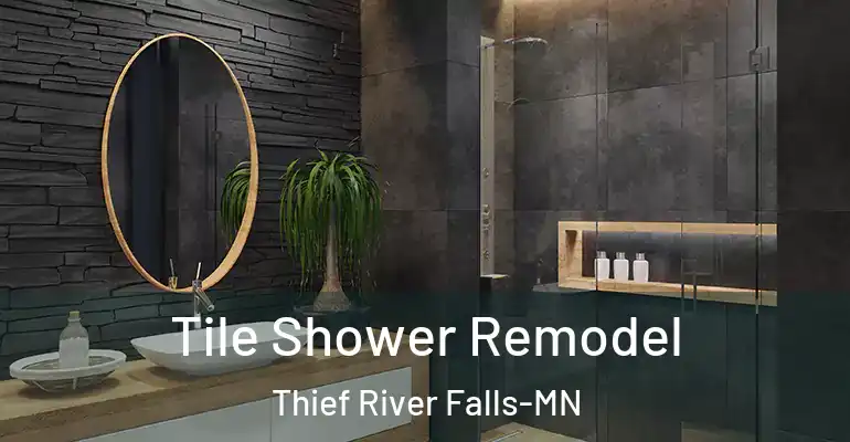 inner Bathroom imggen Tile Shower Remodel Thief River Falls-MN