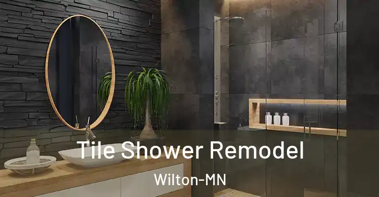 inner Bathroom imggen Tile Shower Remodel Wilton-MN