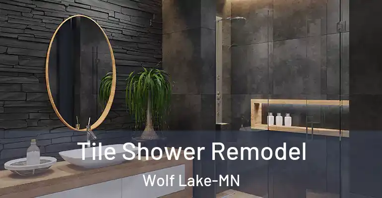 inner Bathroom imggen Tile Shower Remodel Wolf Lake-MN