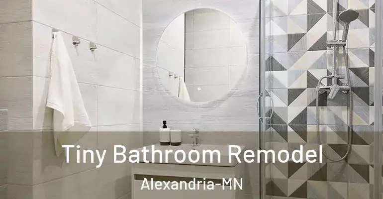 inner Bathroom imggen Tiny Bathroom Remodel Alexandria-MN