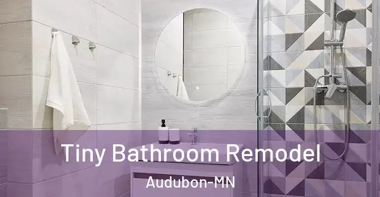 inner Bathroom imggen Tiny Bathroom Remodel Audubon-MN
