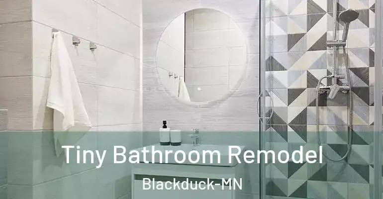 inner Bathroom imggen Tiny Bathroom Remodel Blackduck-MN