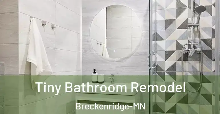 inner Bathroom imggen Tiny Bathroom Remodel Breckenridge-MN
