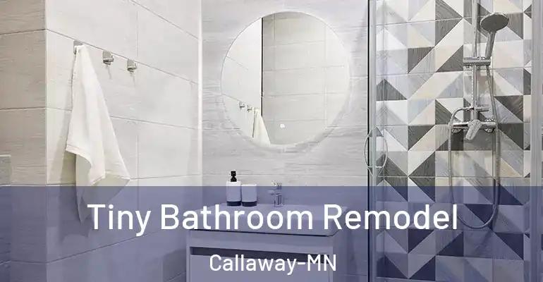 inner Bathroom imggen Tiny Bathroom Remodel Callaway-MN