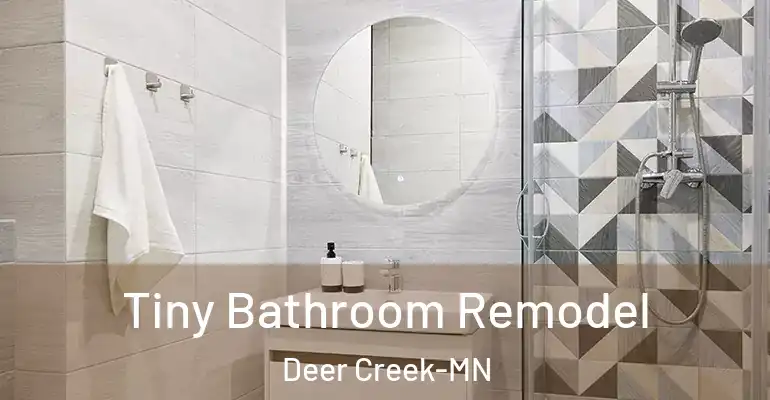 inner Bathroom imggen Tiny Bathroom Remodel Deer Creek-MN